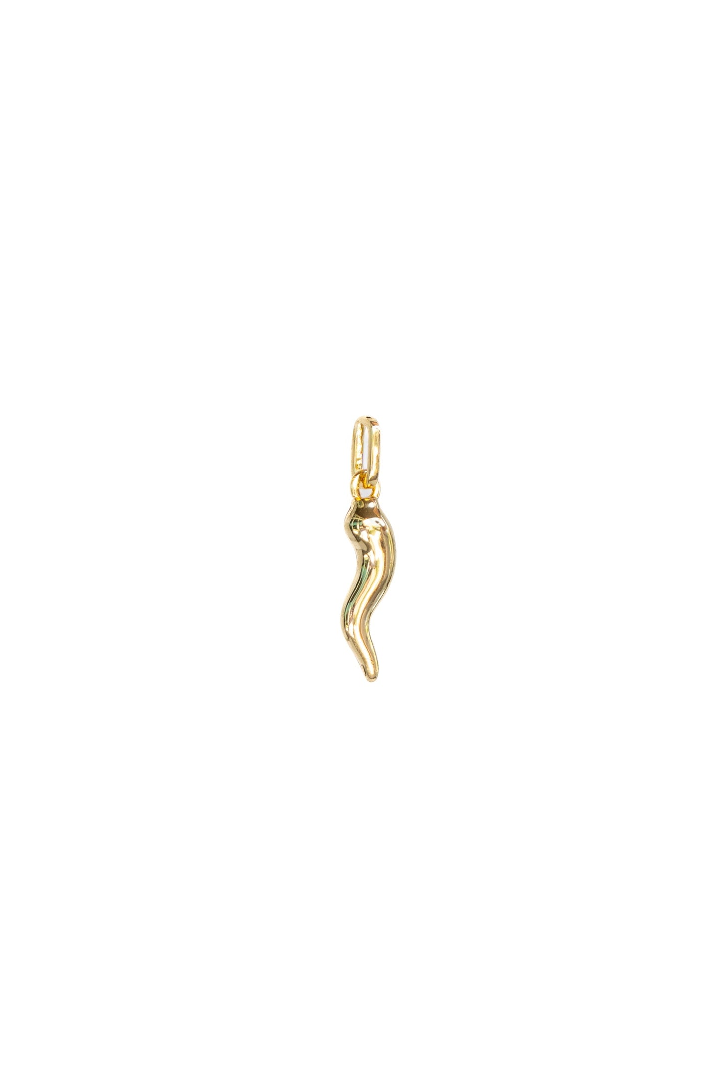 Cornicello Red / Gold Charm